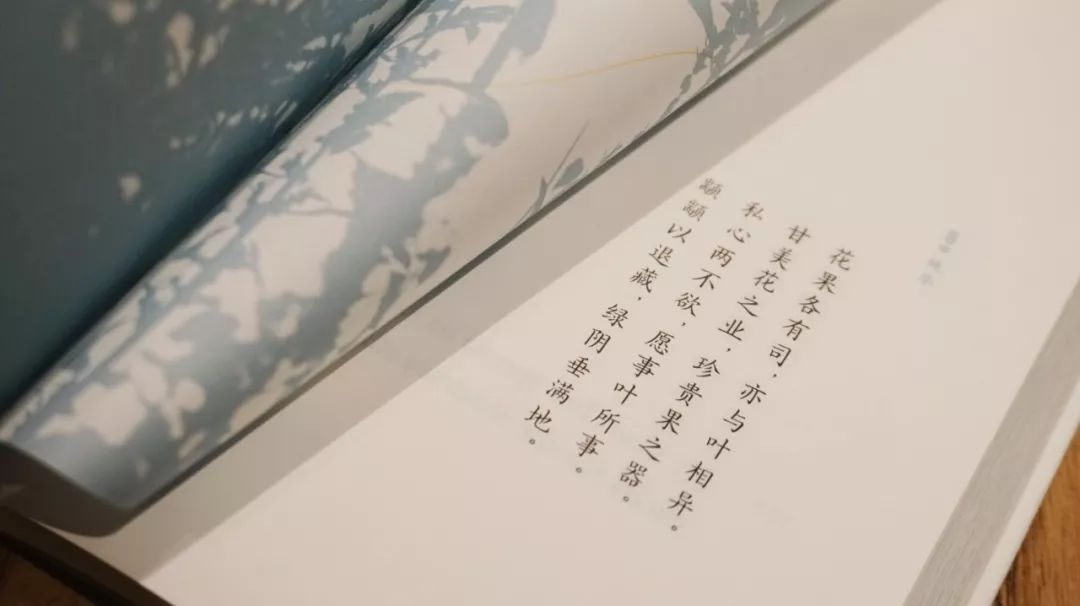 《不露声色》简谱_不露声色简谱完整版(3)
