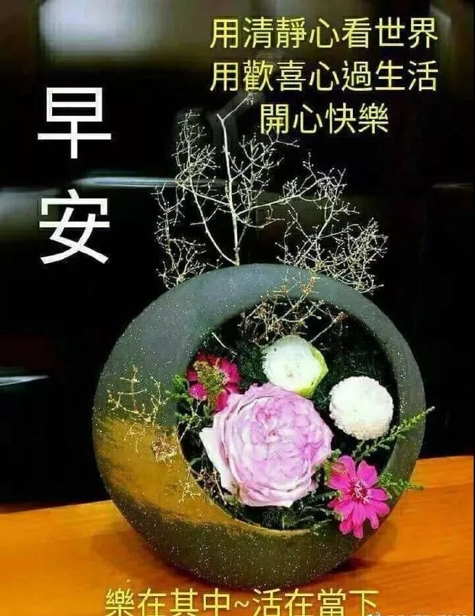 2019早上好新版祝福漂亮图片带字 大家早上好问候语和