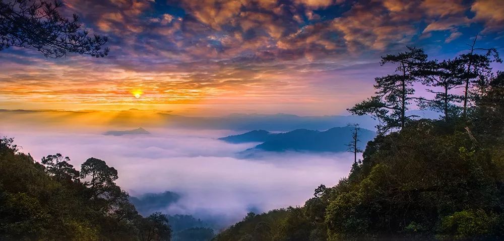 重大发现!三明将乐龙栖山红外相机拍到了黑熊