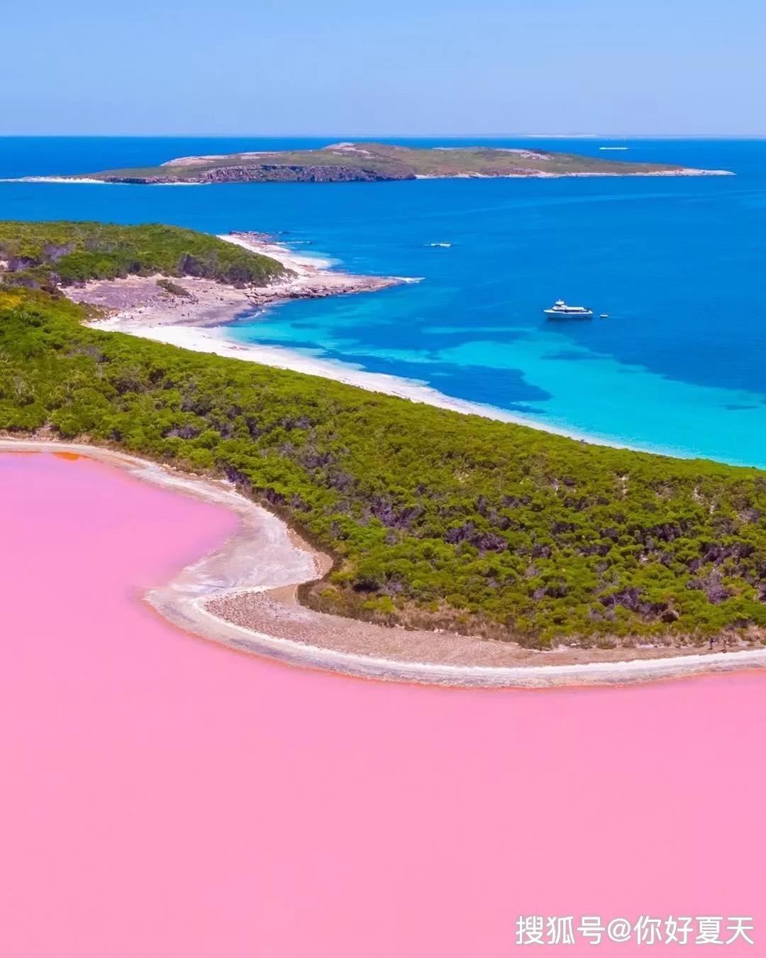 上帝遗落的粉色玫瑰：西澳大利亚粉红湖大揭秘！ - 马蜂窝