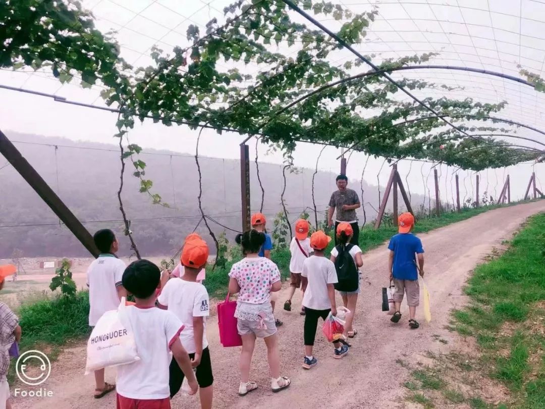 爱心研学的路上这群蚂蚁中队的公益小天使们来了