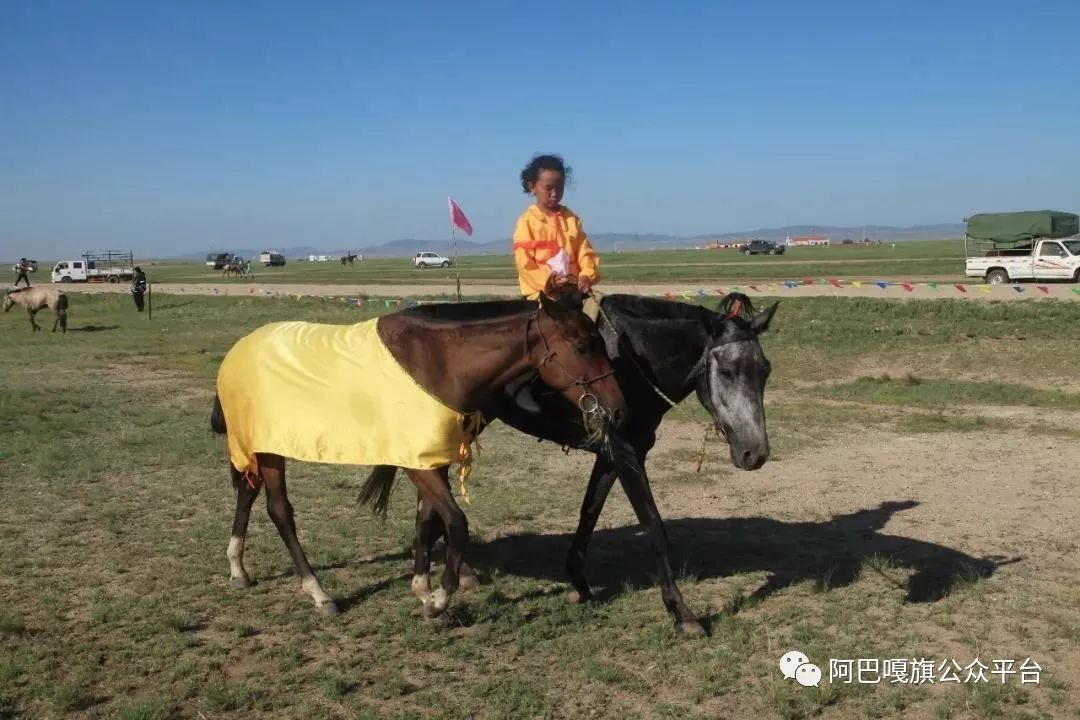 【美丽阿巴嘎】8岁小女孩骑马夺冠(蒙古文)