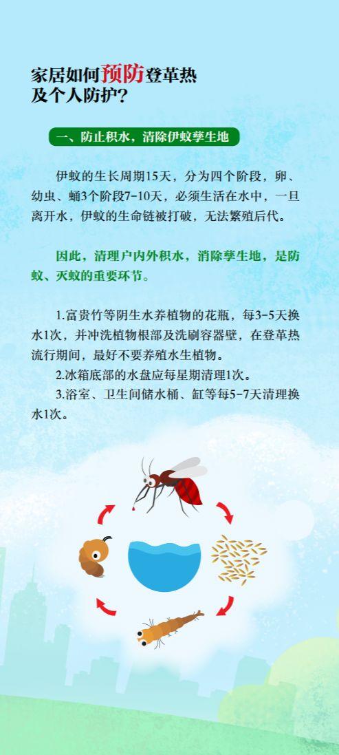 番禺｜大龙街坊注意了，登革热进入高发期，防控第一！收好这份预防指南