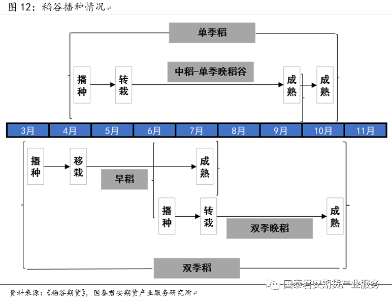 【投资手册】粳米期货投资手册(图8)