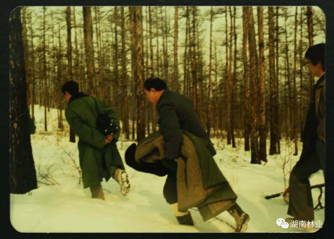 壮丽70年走南闯北的林调人