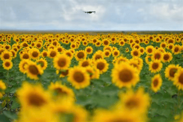 这里是黄河石林,永泰龟城, 寿鹿山国家森林公园,大敦煌影视城, 大水