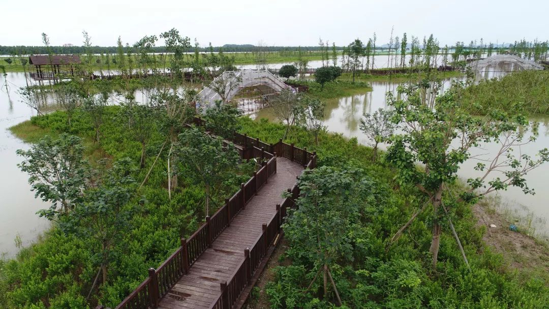 游乐区,科普馆,湿地书屋……中山这个湿地公园拟12月开放