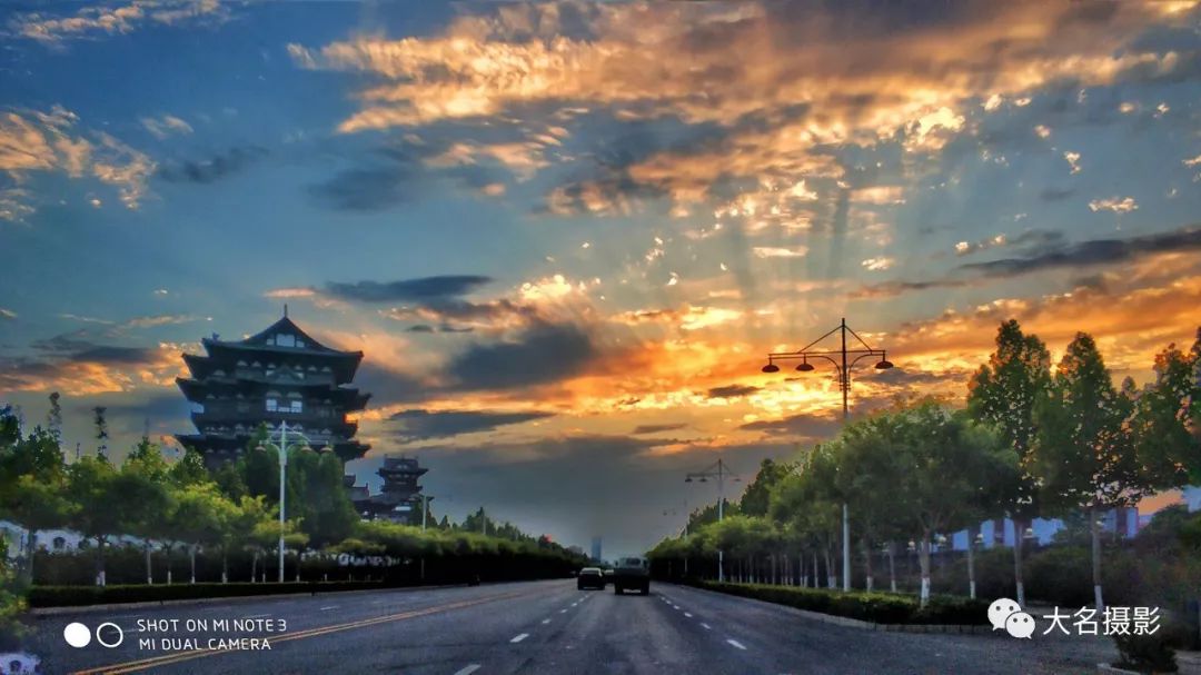 大名人口_鲁道克拉森大名鸽图片