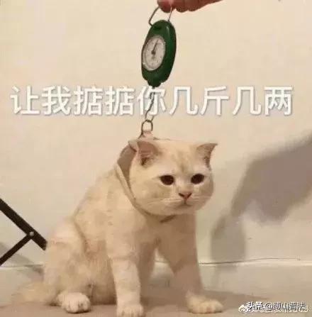 饭圈女孩阿中 82868a1a968342c3890be874ec8c757a.jpeg