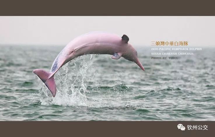 82a298ad97b34c0aadf1d63231b03caa.jpeg