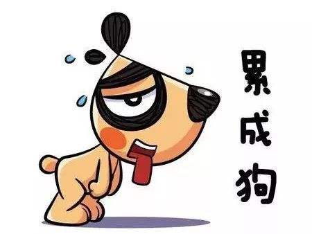 怎么才能让自己有力气一些 8422c89b756643f090e5eb2f0829020d.jpeg
