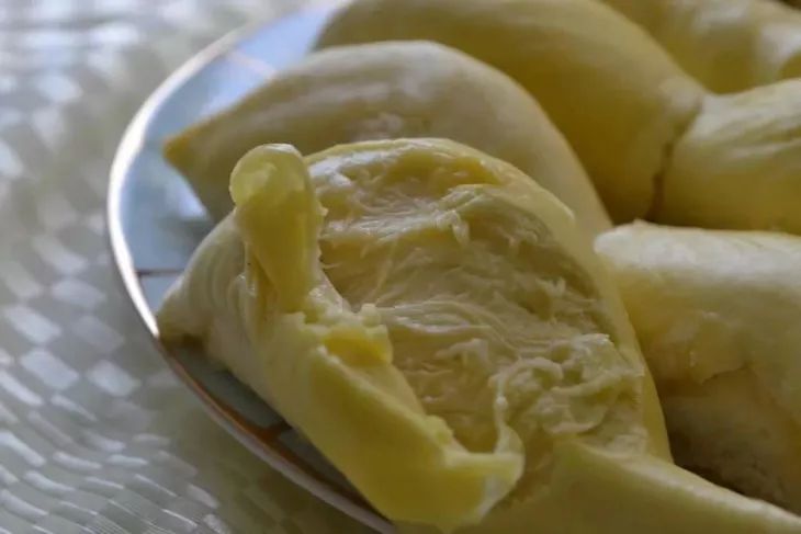 金枕榴莲和普通榴莲的口感区别 853c6d2743264fbb8486dec721f77f28.jpeg