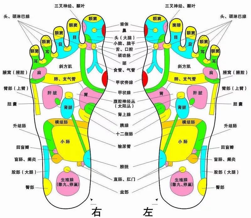 中外历史上名医和圣人有很多运用 全息医学从脚底治病的记述.