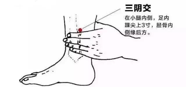 89ba5d84d1984ab0bf048d6534d62560.jpeg
