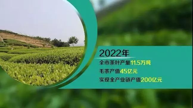 茶叶方面,将加快构建茶产业,茶经济,茶生态,茶旅游和茶文化互融共进