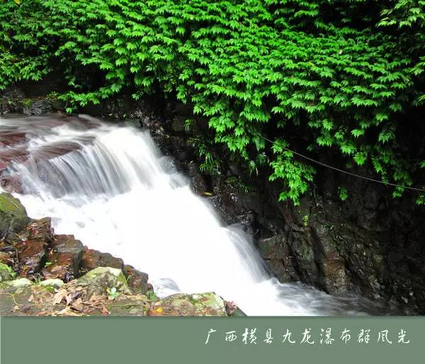 溪水什么淌成语_耳朵里淌黄水是什么(2)