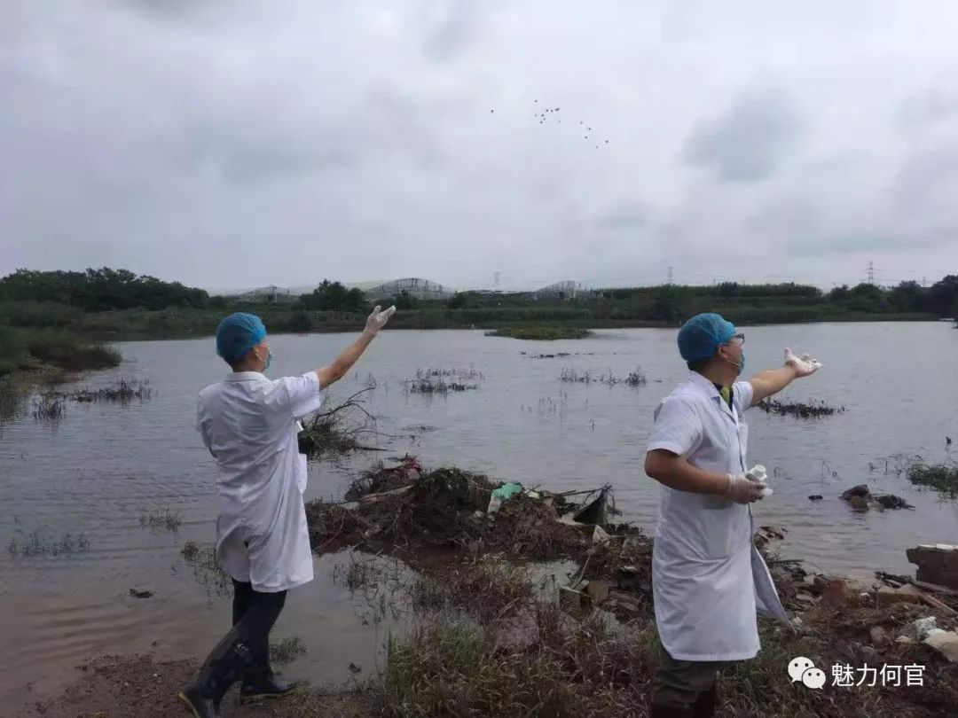 东夏镇人口_重建家园 恢复生产 他们从未停歇.......