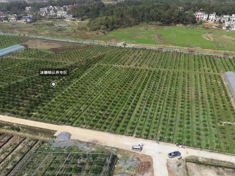 麻山镇人口_剑阁县元山镇常住人口(3)