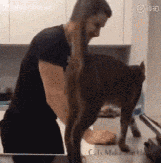 a692a64ac3ff42a8b04e558fd9cd85d3.gif