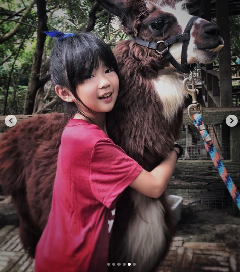 曹格晒女儿弹钢琴视频,姐姐十指尖如笋真的长