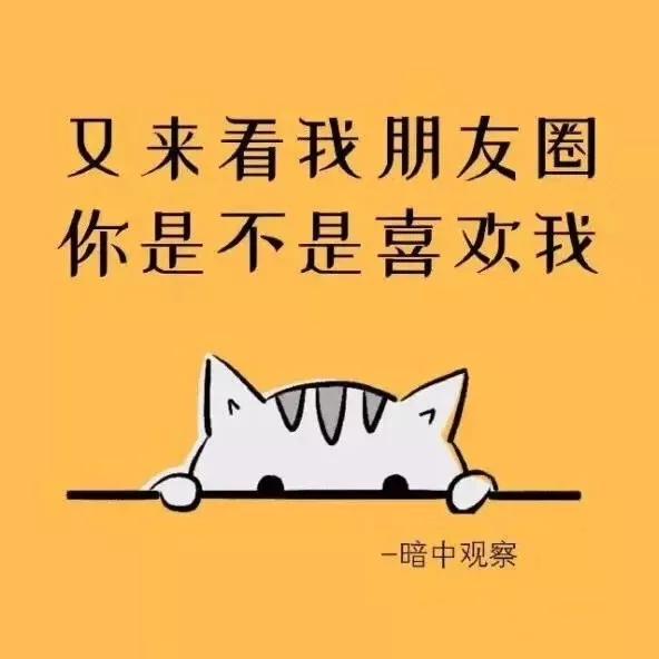 抱头什么哭成语_双手抱头跳是什么运动(3)