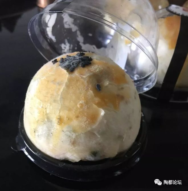 霉变是指在特定的环境条件下, 不断繁殖水解食物而产生发霉的现象