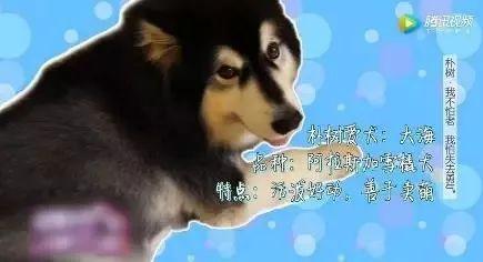 ae8314c0134e4b07b0ad962d1b50e4ac.jpeg