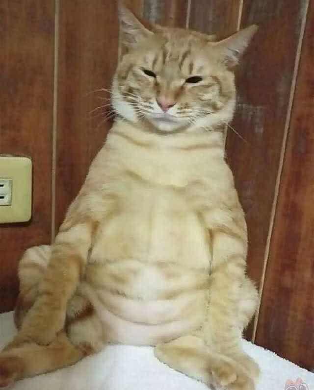 b05c6966db3d460787eed1da22d59d1b.jpeg
