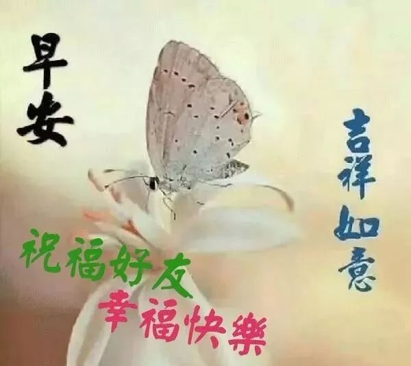 816ʺϺͼƬֶ̬ ϺͼƬʺף