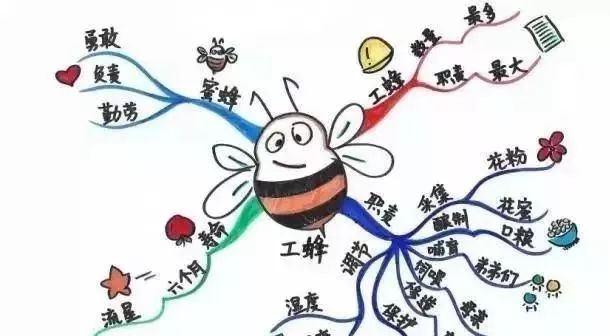 学习方法|巧用思维导图,学习效率翻倍