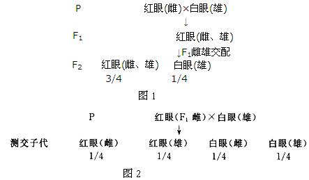 眼色简谱_林宥嘉眼色简谱(3)