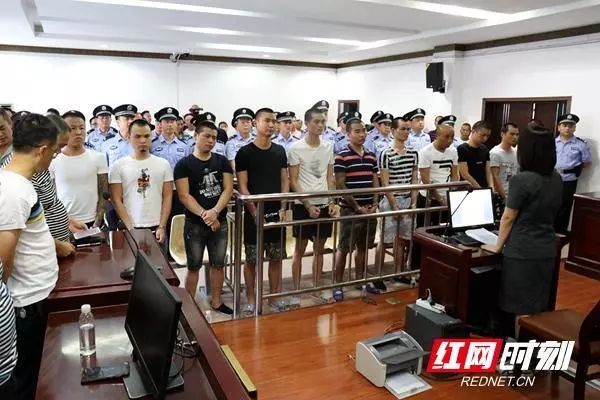 2019年河南郑州中考生物试卷(真题)