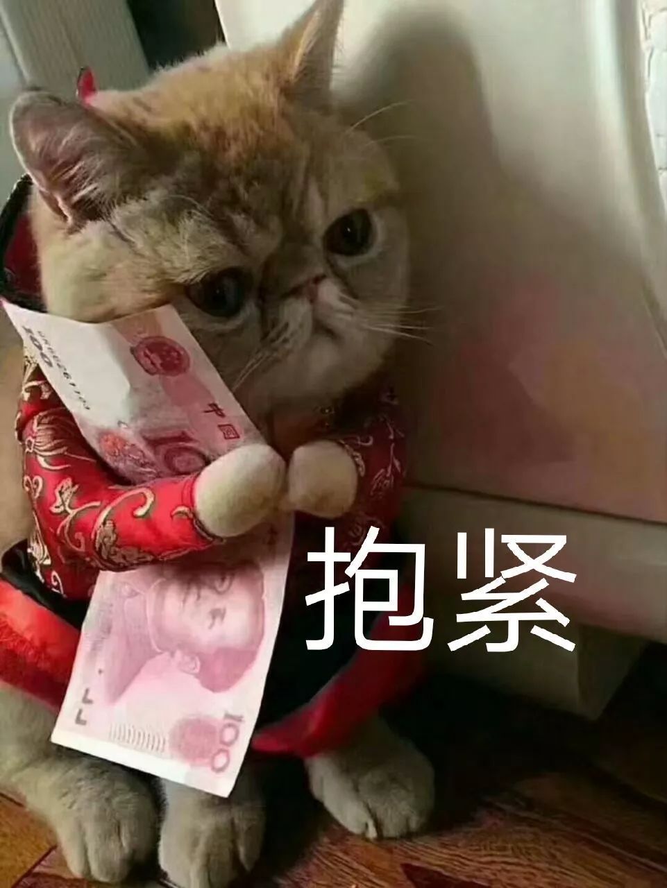 一人紧抱兔娃娃猜成语_年画娃娃抱鱼(3)