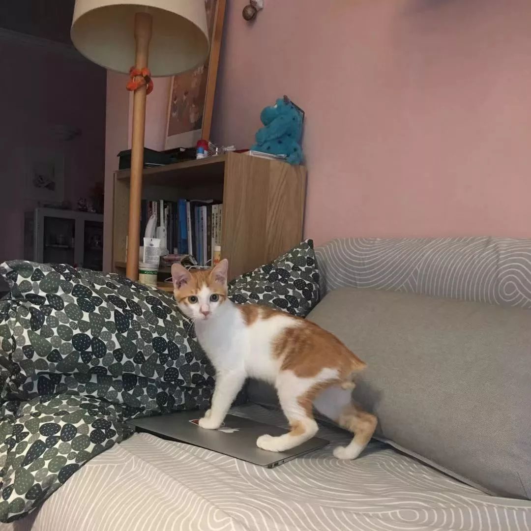 d47582682aaf4bc9966d65771f64b1ee.jpeg