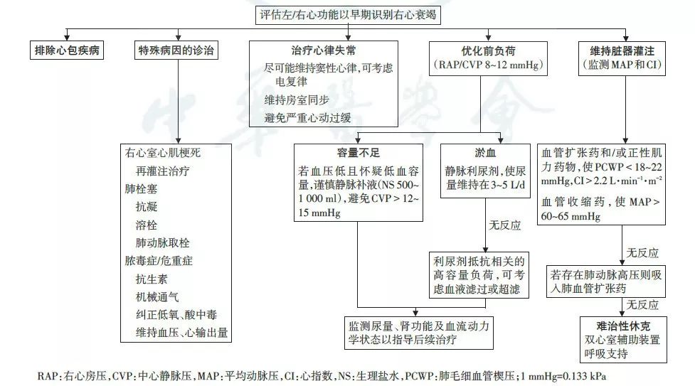 2018中国心衰指南:更新亮点,一文说"全"!