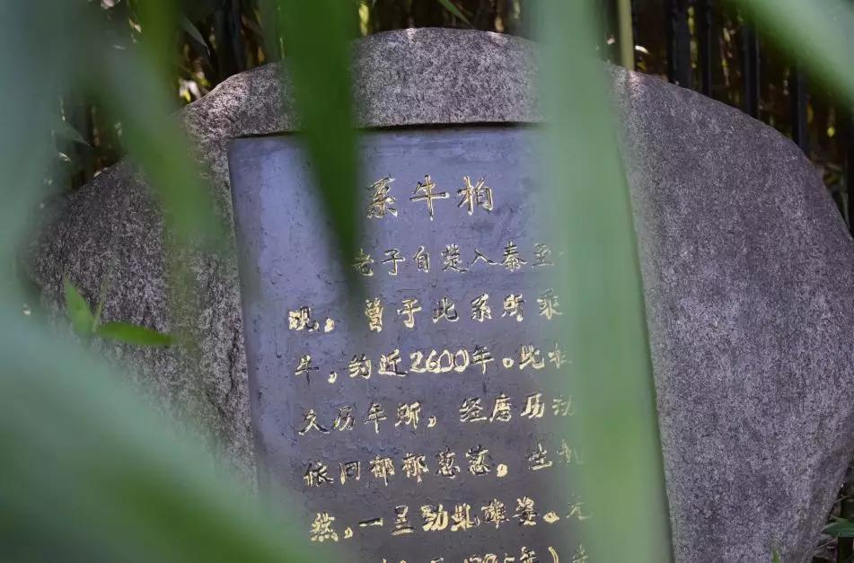 探秘宗圣宫，一定要以敬仰的姿态看一看这些冰冷的石头