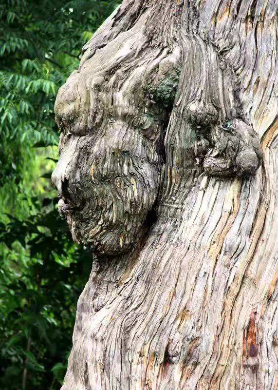 探秘宗圣宫，一定要以敬仰的姿态看一看这些冰冷的石头