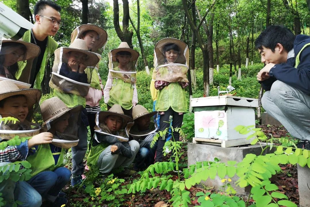 招募秋季自然探究课点燃原动力爱上探索与思考