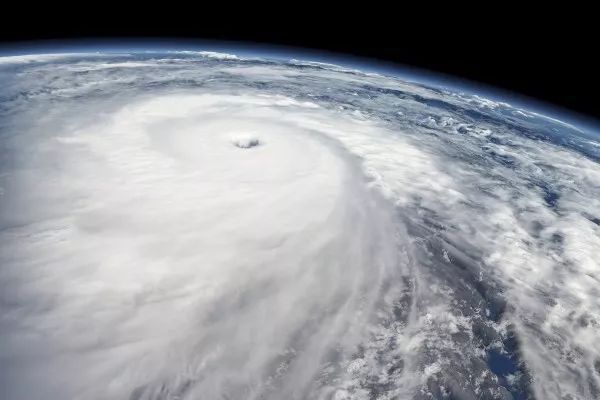 海燕的最新图片 face014a76e6467297644360060435d6.jpeg