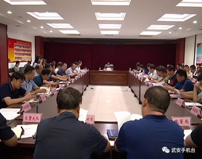 武安经济总量_武安拽面