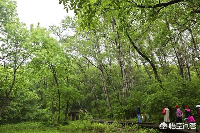 通辽大青沟国家公园旅游介绍