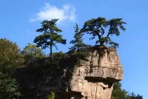 如果说林深水长,高山草甸的美景是犹抱琵琶半遮面,那么 迎客松,绝对是