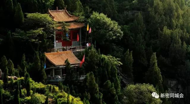 西陌镇人口_西条高人图片(2)
