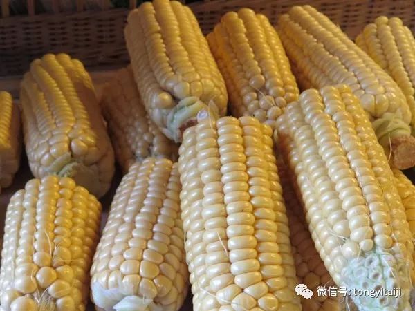 低脂低卡低热量饱腹感强的玉米 15d5233f51db472989e667af3a2319ca.jpeg