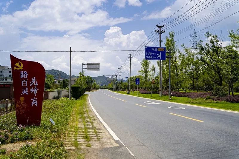 街灯整齐,道路两边绿树林立,成为贯穿塘栖镇泰山村的第二主要通道