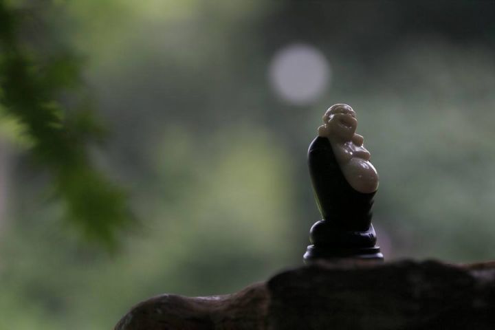人生最好的风景,就是内心的淡定