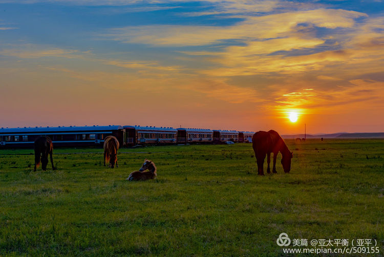 每天早上欣赏草原东方冉冉升起的一轮红日,晚上与西下的夕阳告别.