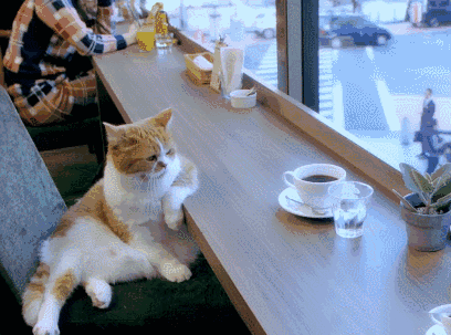 不怕神一样的对手,就怕猪一样的队友
