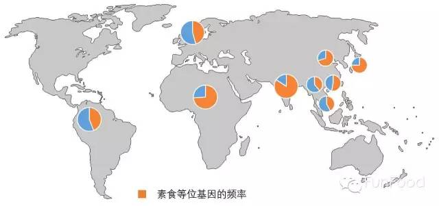 格林兰岛人口_格林兰岛地图