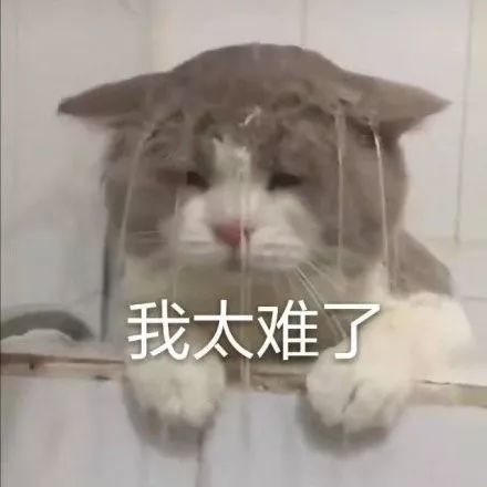                     家有男宝必看！包皮割不割？多大割？怎么清洁？这些事儿别乱来